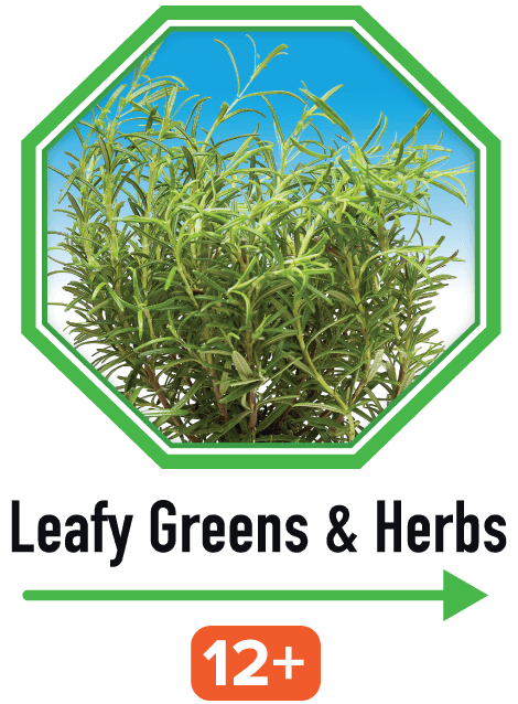 Leafy Greens & Herbs | image