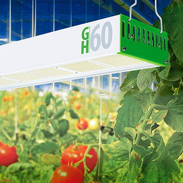 Grow Elite greenhouse grow lights
