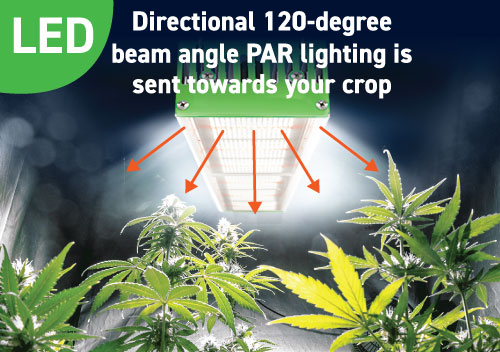 Directional 120-degree beam - PAR lighting is sent towards crop | image