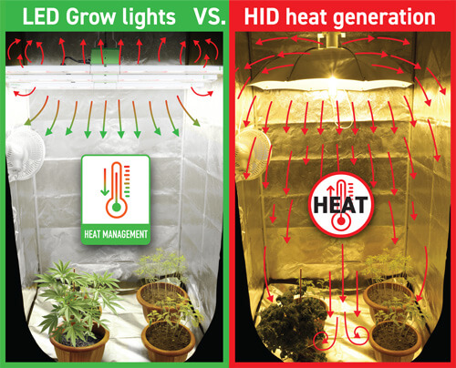 LED grow lighs vs HID heat generation | image