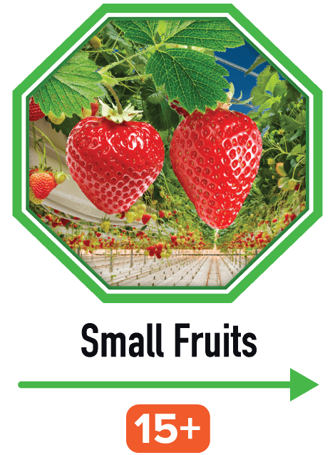 Small fruits | image