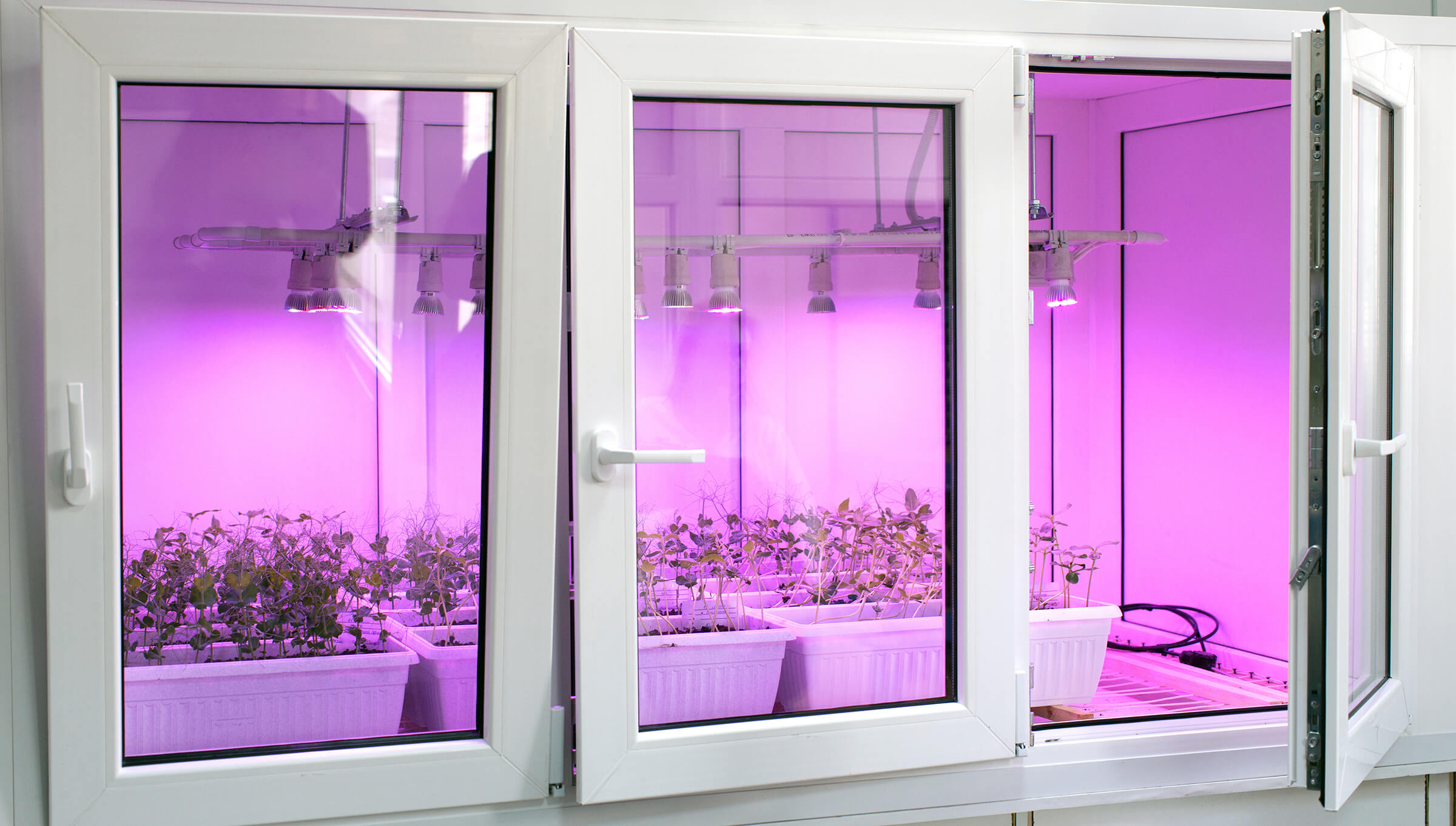UV, Violet, and Far Red grow lights | image