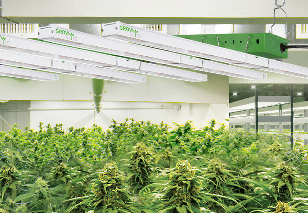 commercial-grade indoor plant lighting for professional growers | image