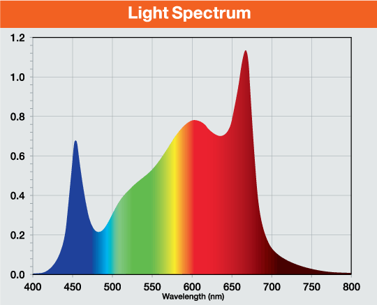 Spectral Quantum Distribution chart