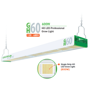 GH60 600W greenhouse light