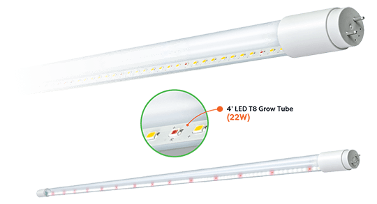 LED T8 form grow tube